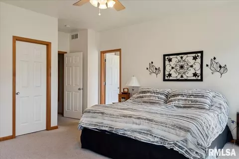 239 Maggie Dr, Springfield, IL 62707 photo 29