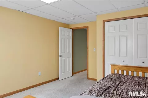 239 Maggie Dr, Springfield, IL 62707 photo 44