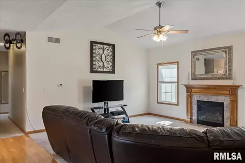 239 Maggie Dr, Springfield, IL 62707 photo 12