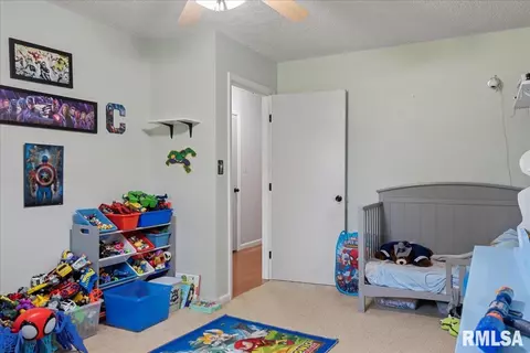 384 S Bradfordton Rd, Springfield, IL 62711 photo 23