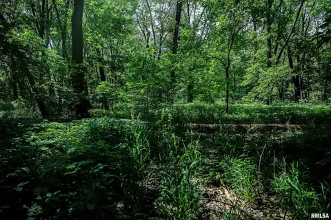 10 Acres - E 1900th St, Camp Point, IL 62320 photo 41