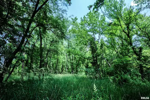 10 Acres - E 1900th St, Camp Point, IL 62320 photo 11