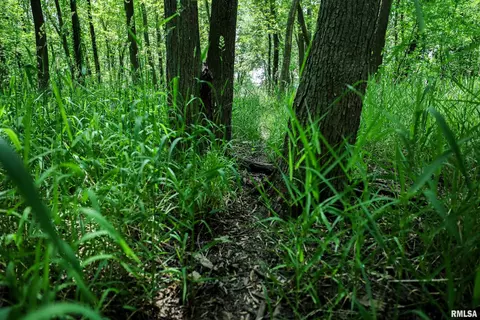 10 Acres - E 1900th St, Camp Point, IL 62320 photo 20