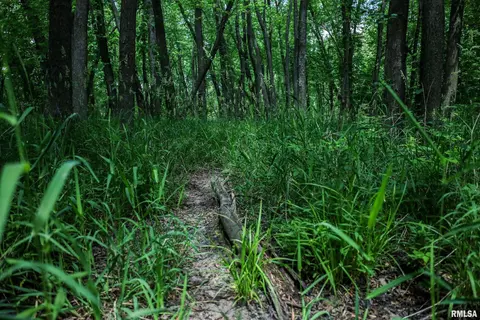 10 Acres - E 1900th St, Camp Point, IL 62320 photo 18
