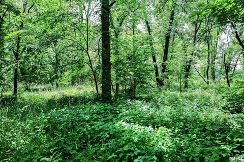 10 Acres - E 1900th St, Camp Point, IL 62320 photo 15