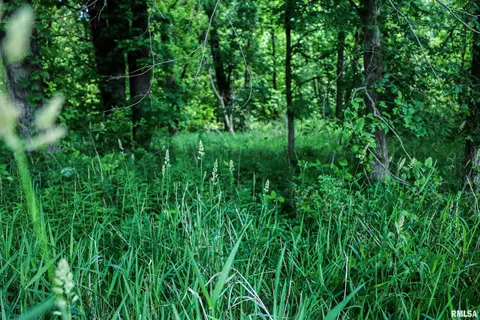 10 Acres - E 1900th St, Camp Point, IL 62320 photo 9