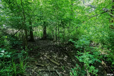 10 Acres - E 1900th St, Camp Point, IL 62320 photo 47