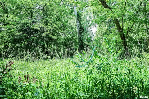 10 Acres - E 1900th St, Camp Point, IL 62320 photo 28