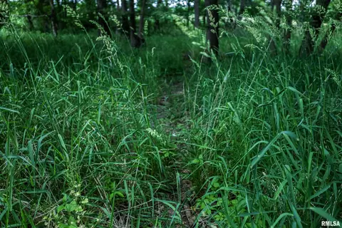 10 Acres - E 1900th St, Camp Point, IL 62320 photo 12