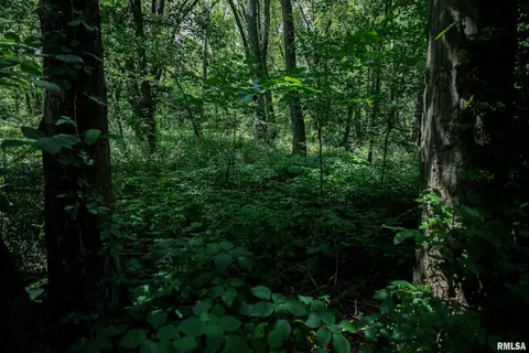 10 Acres - E 1900th St, Camp Point, IL 62320 photo 42