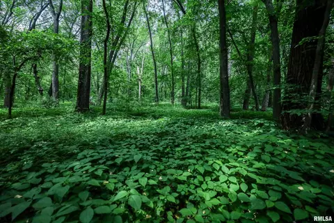 10 Acres - E 1900th St, Camp Point, IL 62320 photo 33