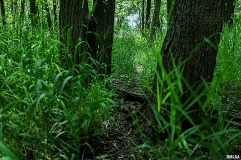10 Acres - E 1900th St, Camp Point, IL 62320 photo 4