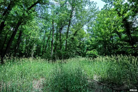 10 Acres - E 1900th St, Camp Point, IL 62320 photo 13