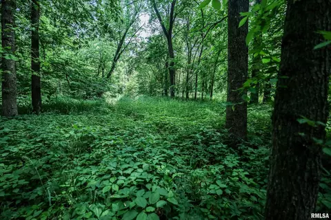 10 Acres - E 1900th St, Camp Point, IL 62320 photo 14