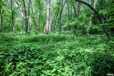 10 Acres - E 1900th St, Camp Point, IL 62320 photo 32