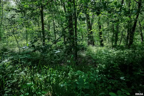 10 Acres - E 1900th St, Camp Point, IL 62320 photo 44