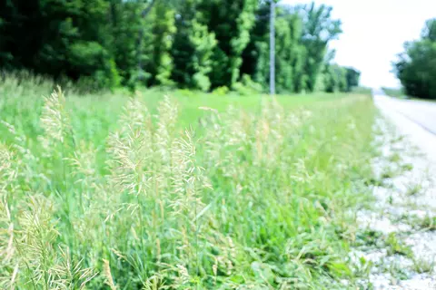 10 Acres - E 1900th St, Camp Point, IL 62320 photo 8