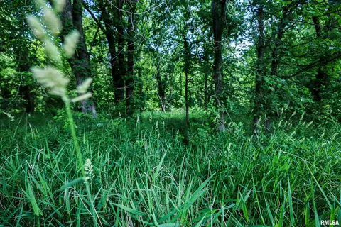10 Acres - E 1900th St, Camp Point, IL 62320 photo 10