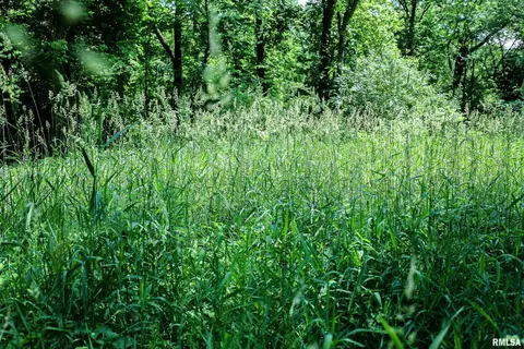 10 Acres - E 1900th St, Camp Point, IL 62320 photo 23