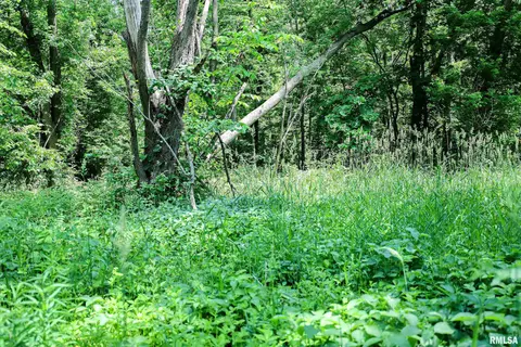 10 Acres - E 1900th St, Camp Point, IL 62320 photo 22