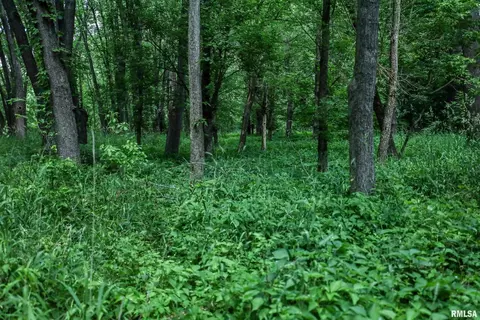 10 Acres - E 1900th St, Camp Point, IL 62320 photo 19