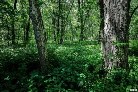 10 Acres - E 1900th St, Camp Point, IL 62320 photo 43