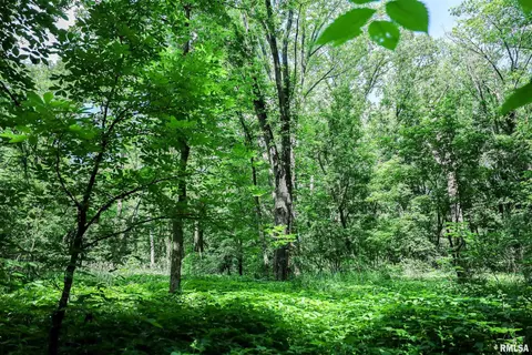10 Acres - E 1900th St, Camp Point, IL 62320 photo 40