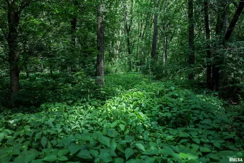 10 Acres - E 1900th St, Camp Point, IL 62320 photo 29