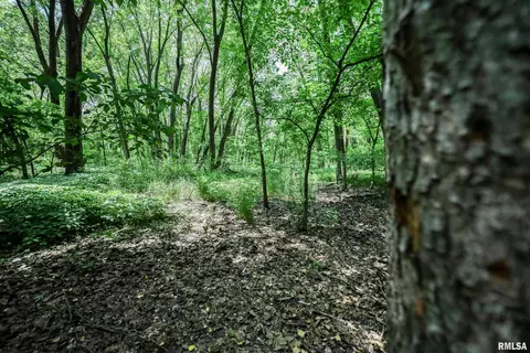 10 Acres - E 1900th St, Camp Point, IL 62320 photo 35
