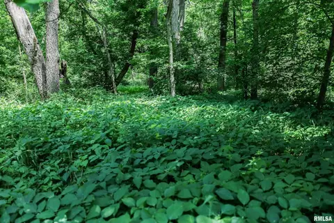 10 Acres - E 1900th St, Camp Point, IL 62320 photo 24