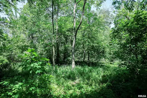 10 Acres - E 1900th St, Camp Point, IL 62320 photo 26