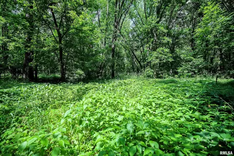 10 Acres - E 1900th St, Camp Point, IL 62320 photo 37