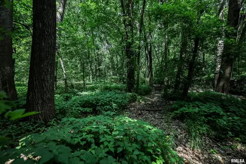 10 Acres - E 1900th St, Camp Point, IL 62320 photo 34