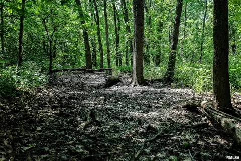 10 Acres - E 1900th St, Camp Point, IL 62320 photo 46