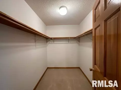9937 E Loami Rd, Loami, IL 62661 photo 22