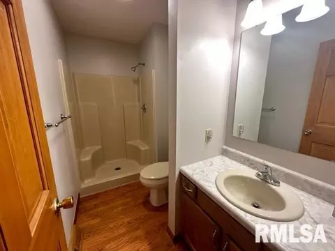 9937 E Loami Rd, Loami, IL 62661 photo 18