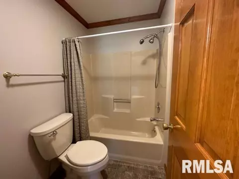 9937 E Loami Rd, Loami, IL 62661 photo 23