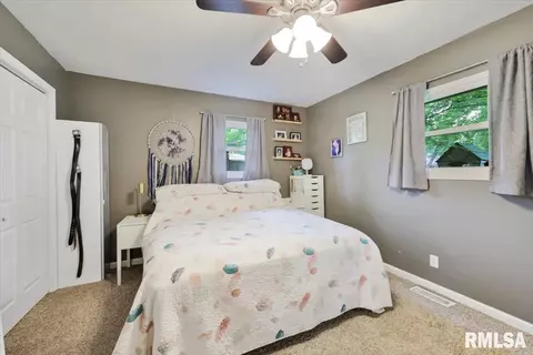 32 Birch Dr, Chatham, IL 62629 photo 13