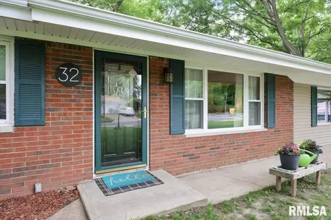 32 Birch Dr, Chatham, IL 62629 photo 21