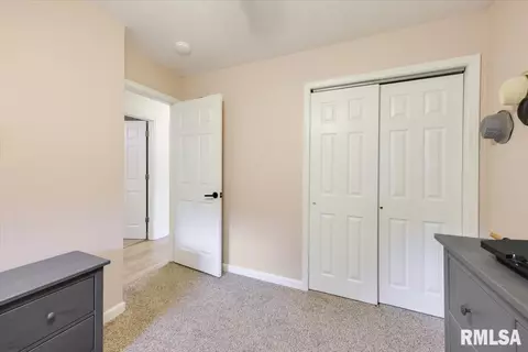 32 Birch Dr, Chatham, IL 62629 photo 12