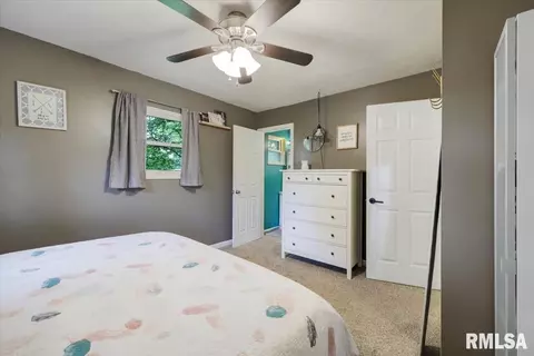 32 Birch Dr, Chatham, IL 62629 photo 14