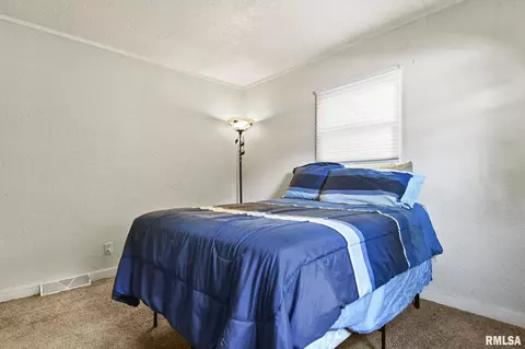 17 Bonnie Ct, Springfield, IL 62704 photo 20