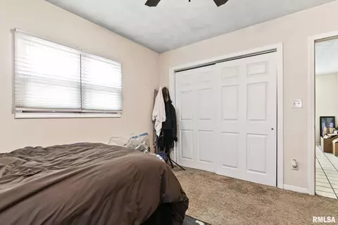 17 Bonnie Ct, Springfield, IL 62704 photo 15