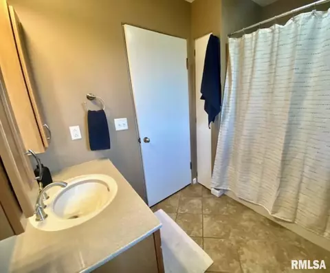 319 W Maple Ave, Ursa, IL 62376 photo 10