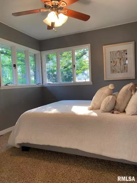 319 W Maple Ave, Ursa, IL 62376 photo 8