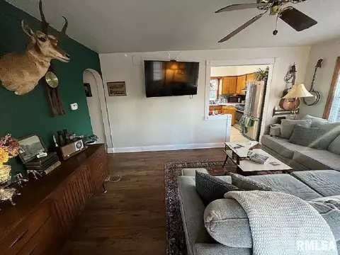 311 E Woods St, Avon, IL 61415 photo 2