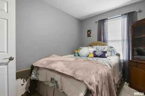 120 W Hawkeye Way, Springfield, IL 62707 photo 14