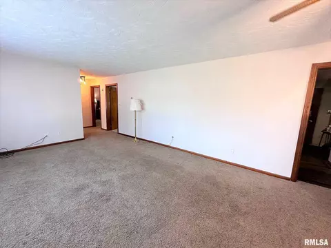 432 W Holmes St, Oneida, IL 61467 photo 8