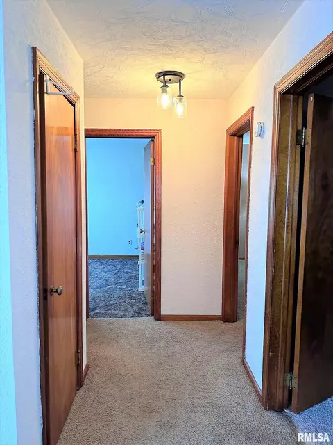 432 W Holmes St, Oneida, IL 61467 photo 22