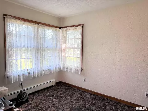 432 W Holmes St, Oneida, IL 61467 photo 16